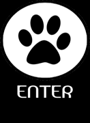Paw - Enter : www.connex.com.au
